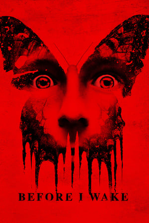 Before I Wake (2016) Dubbed | Hindi Full Movie HDRip [900MB]
