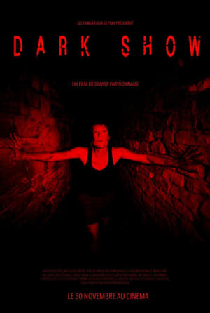 Dark Show (2016) Dual Audio HDRip | Hindi Full Movie – 480p