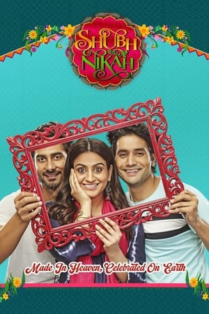 Shubh Nikah 2023 Pre-DVDRip | Hindi Full Movie – 480p