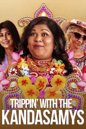 Trippin with the Kandasamys 2021 Dual Audio | Hindi Full Movie Web-DL [850MB]